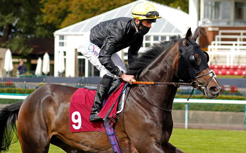 Be-Easy-0001 
 BE EASY (Clifford Lee)
Haydock 4 Sep 2020 - Pic Steven Cargill / Racingfotos.com