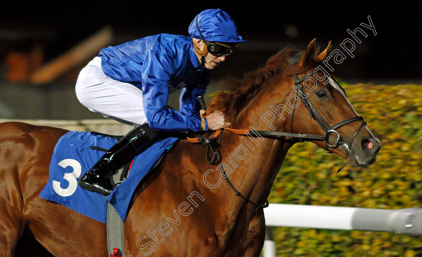 Bow-Street-0001 
 BOW STREET (James Doyle) Kempton 4 Oct 2017 - Pic Steven Cargill / Racingfotos.com