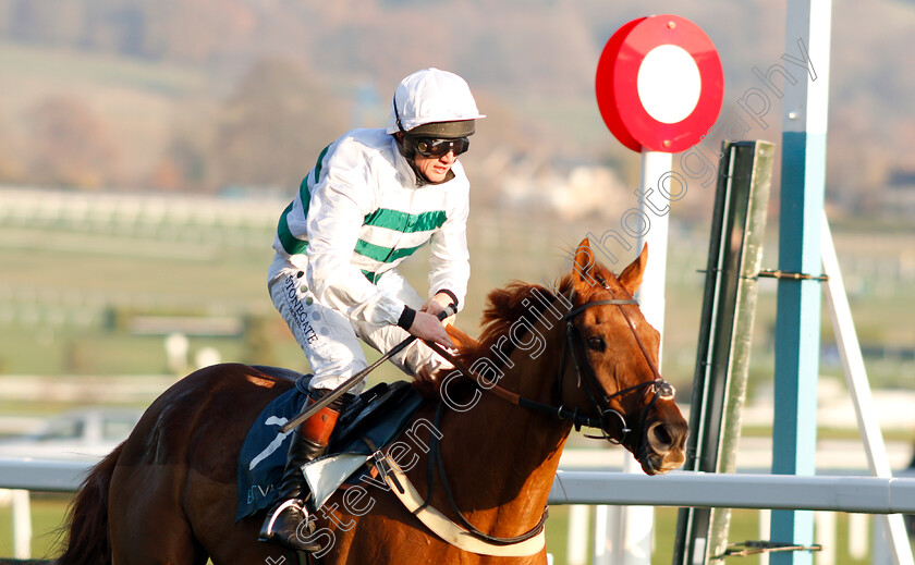 Baron-Alco-0009 
 BARON ALCO (Jamie Moore) wins The BetVictor Gold Cup
Cheltenham 17 Nov 2018 - Pic Steven Cargill / Racingfotos.com