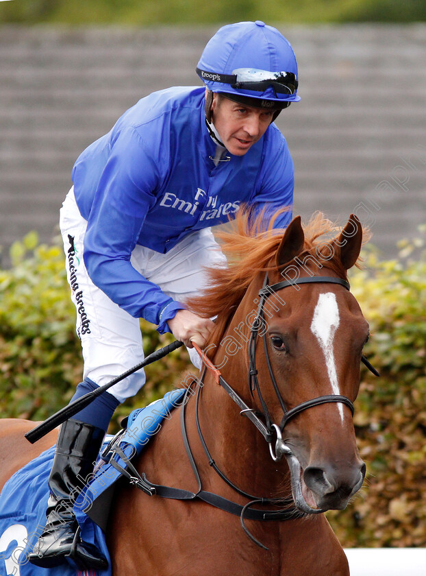 Falathaat-0001 
 FALATHAAT (Jim Crowley)
Kempton 29 Aug 2018 - Pic Steven Cargill / Racingfotos.com