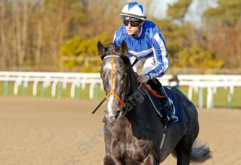 Fox-Power-0001 
 FOX POWER (Richard Kingscote)
Lingfield 10 Jan 2020 - Pic Steven Cargill / Racingfotos.com