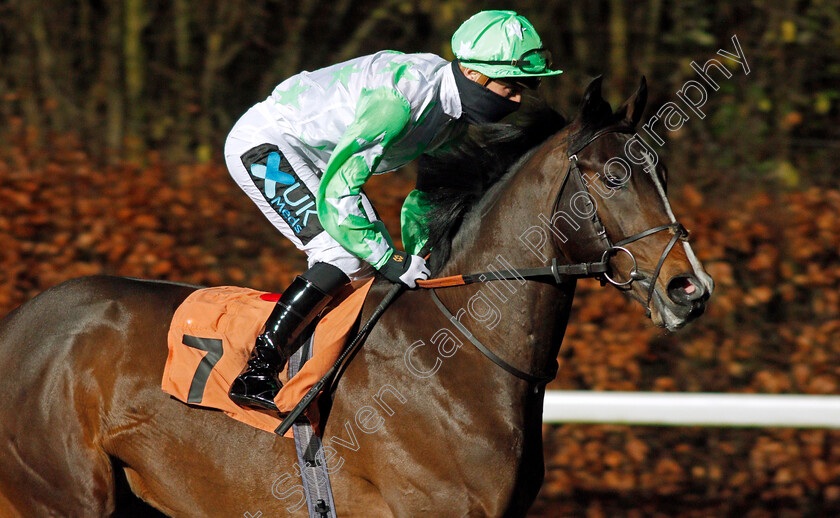 Merlin s-Beard-0001 
 MERLIN'S BEARD (Stevie Donohoe)
Kempton 13 Jan 2021 - Pic Steven Cargill / Racingfotos.com