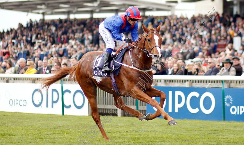 Nayef-Road-0003 
 NAYEF ROAD (Silvestre De Sousa) wins The Qipco Supporting British Racing Handicap
Newmarket 5 May 2019 - Pic Steven Cargill / Racingfotos.com