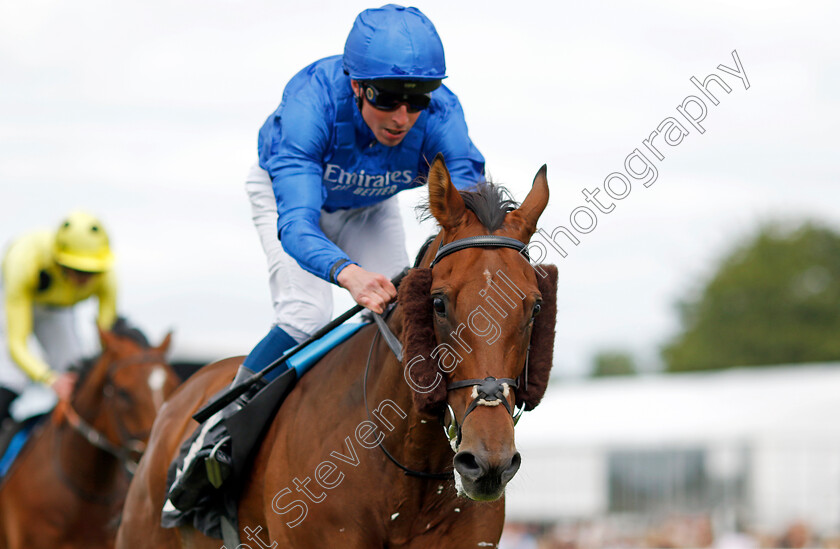 King-Of-Conquest-0003 
 KING OF CONQUEST (William Buick) wins The William Hill Tapster Stakes
Goodwood 9 Jun 2024 - pic Steven Cargill / Racingfotos.com