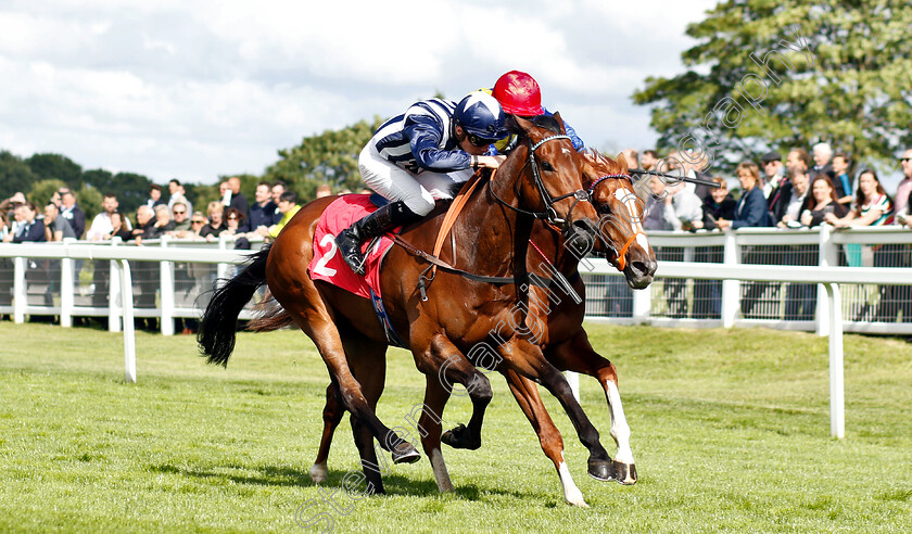 Ragnar-0001 
 RAGNAR (Jason Watson) beats RHYTHMIC INTENT (farside) in The Beck Celebrating 25 Years Of Excellence Handicap
Sandown 14 Jun 2019 - Pic Steven Cargill / Racingfotos.com