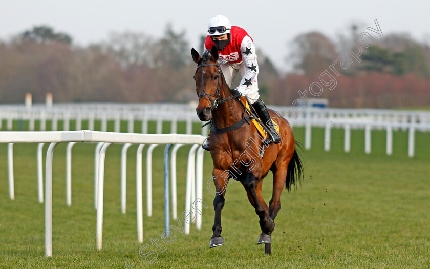 Bennys-King-0003 
 BENNYS KING (Harry Skelton)
Ascot 20 Feb 2021 - Pic Steven Cargill / Racingfotos.com