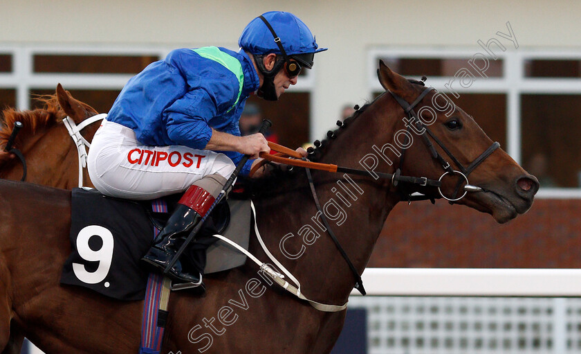 Silvestris-0008 
 SILVESTRIS (Franny Norton) wins The EBF Novice Auction Stakes
Chelmsford 22 Oct 2020 - Pic Steven Cargill / Racingfotos.com