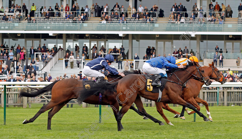 Stormy-Waves-0002 
 STORMY WAVES (nearside, William Buick) beats THE CAMDEN COLT (farside) in The Federation Of Bloodstock Agents Nursery
Newmarket 28 Sep 2023 - Pic Steven Cargill / Racingfotos.com