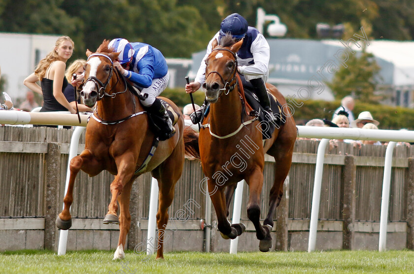 Old-Port-0002 
 OLD PORT (right, Richard Kingscote) beats MAHRAJAAN (left) in The Patti Crook Memorial Handicap
Newmarket 30 Jul 2022 - Pic Steven Cargill / Racingfotos.com