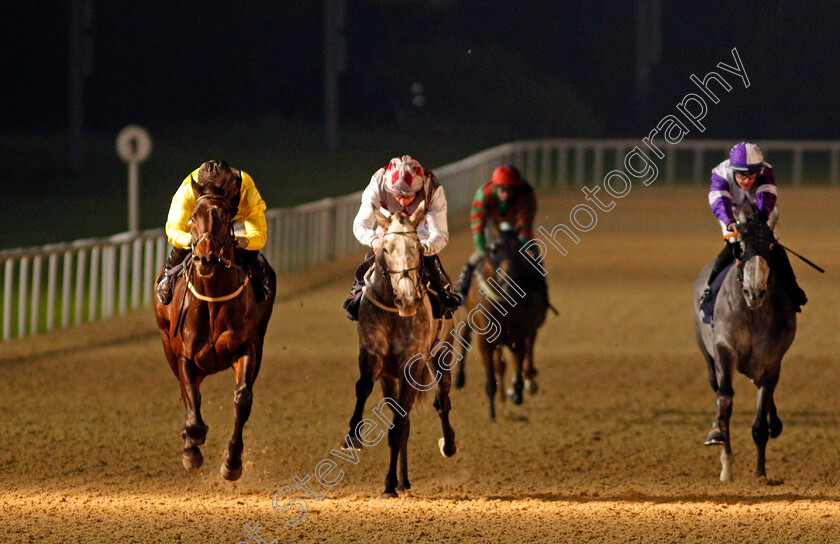 Koeman-0001 
 KOEMAN (left, Tom Marquand) beats THE TRADER (centre) in The Betway Handicap
Wolverhampton 5 Dec 2020 - Pic Steven Cargill / Racingfotos.com