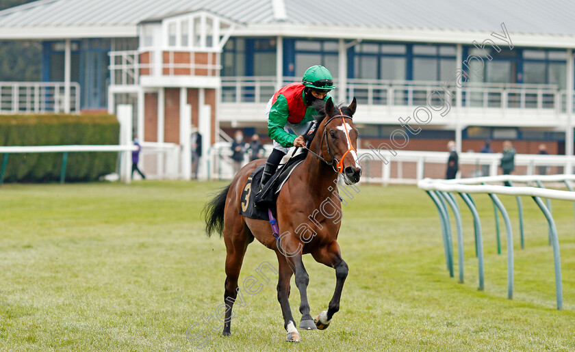 Royal-Tribute-0001 
 ROYAL TRIBUTE (Sean Levey)
Nottingham 27 Apr 2021 - Pic Steven Cargill / Racingfotos.com