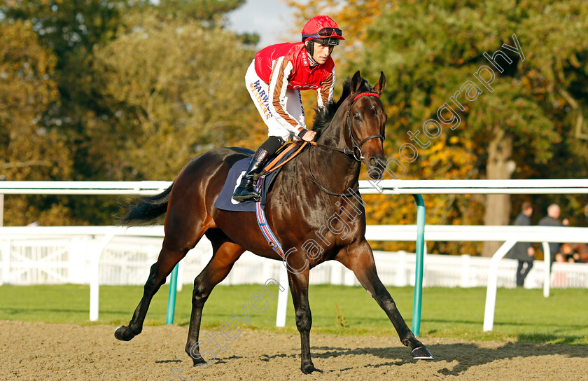 Honky-Tonk-Man-0002 
 HONKY TONK MAN (Trevor Whelan) winner of The Watch Racing Free Online At Coral EBF Novice Stakes
Lingfield 28 Oct 2021 - Pic Steven Cargill / Racingfotos.com