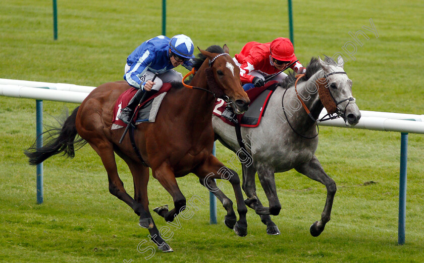 Finniston-Farm-0003 
 FINNISTON FARM (left, Richard Kingscote) beats RED FORCE ONE (right) in The Armstrong Family Handicap
Haydock 25 May 2019 - Pic Steven Cargill / Racingfotos.com