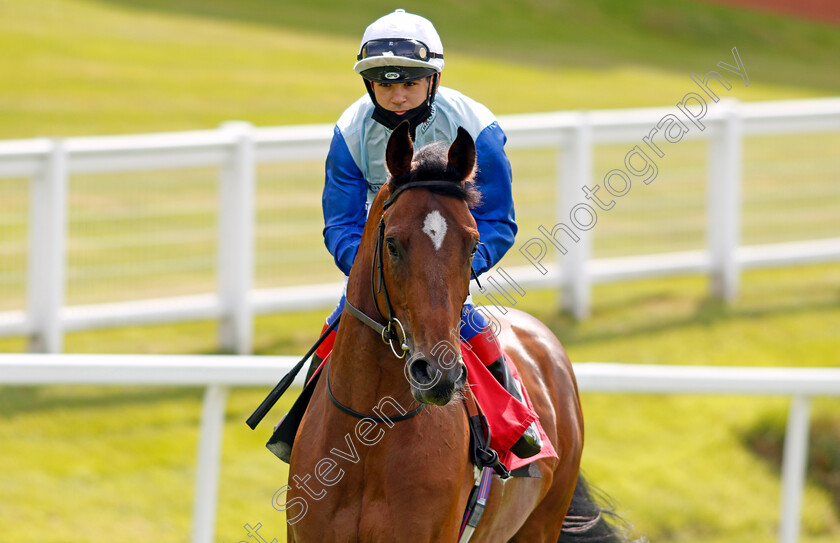 Sonny-Liston-0001 
 SONNY LISTON (Marco Ghiani) winner of The Irish Stallion Farms EBF Novice Stakes
Sandown 2 Jul 2021 - Pic Steven Cargill / Racingfotos.com