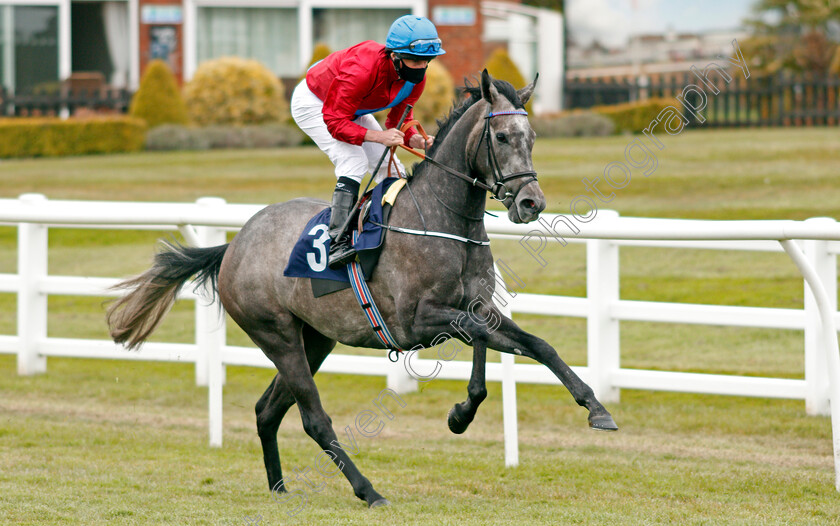 Cloudy-Dawn-0002 
 CLOUDY DAWN (Ryan Moore) winner of The Enjoy Horse Racing Promotions At Novibet Fillies Novice Stakes
Lingfield 8 May 2021 - Pic Steven Cargill / Racingfotos.com