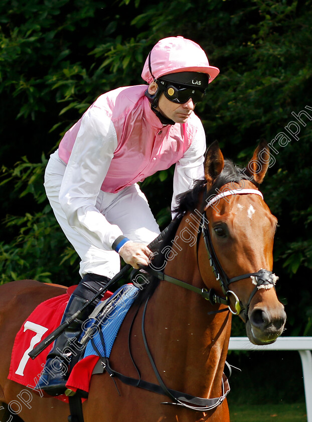 French-Master-0001 
 FRENCH MASTER (Robert Havlin)
Sandown 15 Jun 2024 - Pic Steven Cargill / Racingfotos.com