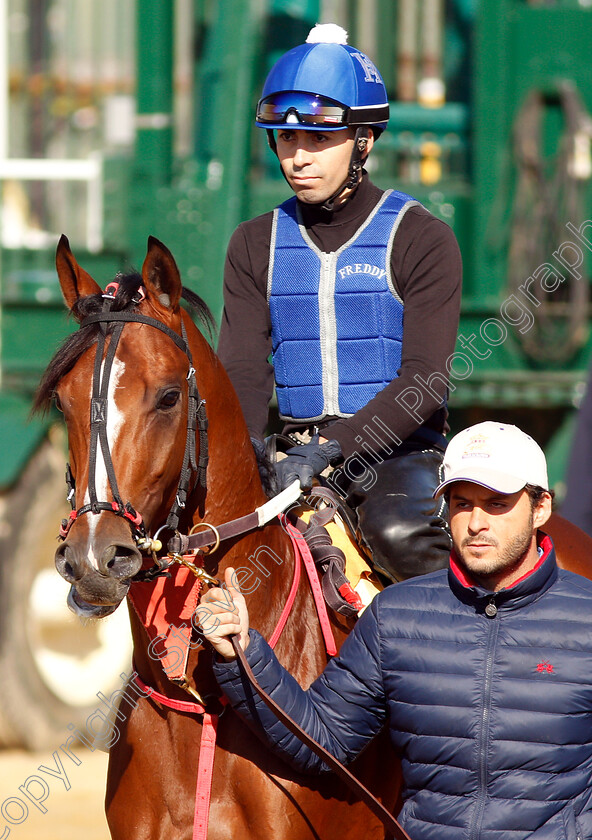 Bodexpress-0002 
 BODEXPRESS exercising in preparation for the Preakness Stakes
Pimlico, Baltimore USA, 15 May 2019 - Pic Steven Cargill / Racingfotos.com