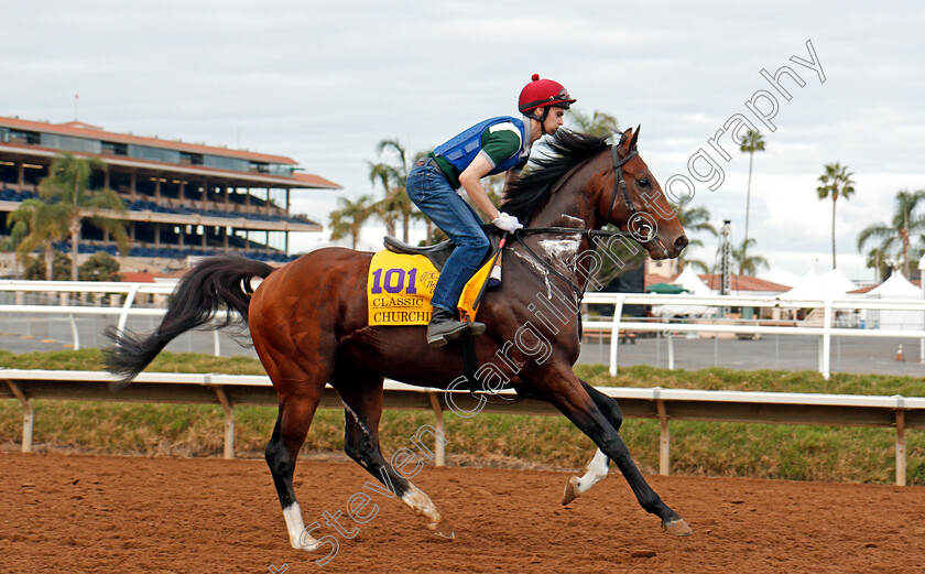 Churchill-0003 
 CHURCHILL training for The Breeders' Cup Classic at Del Mar 2 Nov 2017 - Pic Steven Cargill / Racingfotos.com