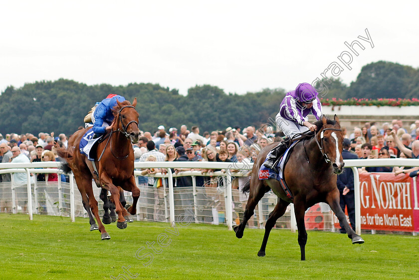 Continuous-0007 
 CONTINUOUS (Ryan Moore) wins The Sjy Bet Great Voltigeur Stakes
York 23 Aug 2023 - Pic Steven Cargill / Racingfotos.com