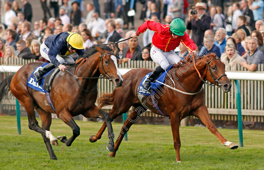 Rufus-King-0004 
 RUFUS KING (P J McDonald) beats PORTH SWTAN (left) in The Darley Nursery Newmarket 14 Oct 2017 - Pic Steven Cargill / Racingfotos.com