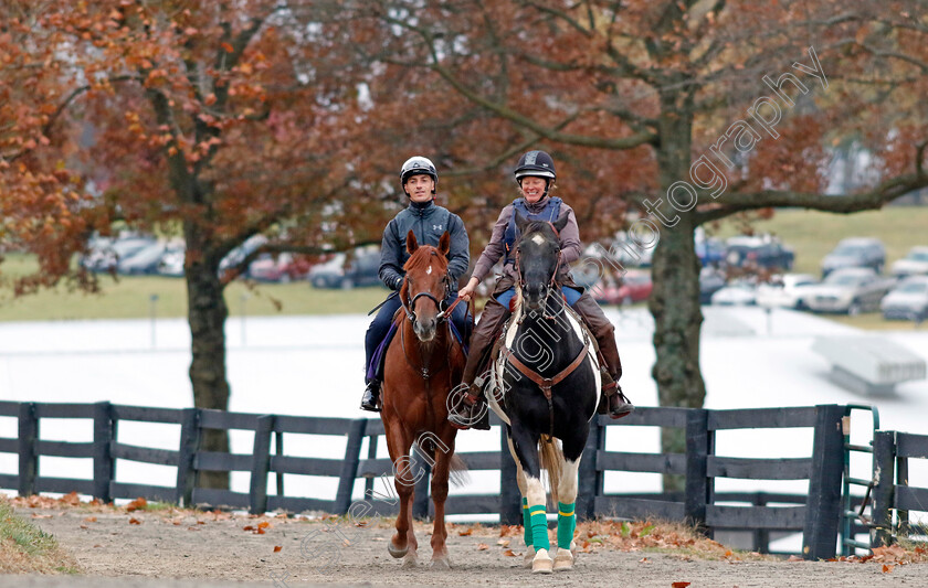 Persian-Force-0001 
 PERSIAN FORCE training for the Breeders' Cup Juvenile Truf Sprint
Keeneland USA 1 Nov 2022 - Pic Steven Cargill / Racingfotos.com