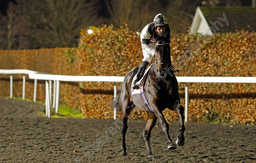 Samuel-Colt-0001 
 SAMUEL COLT (Sean Levey)
Kempton 4 Dec 2024 - Pic Steven Cargill / Racingfotos.com