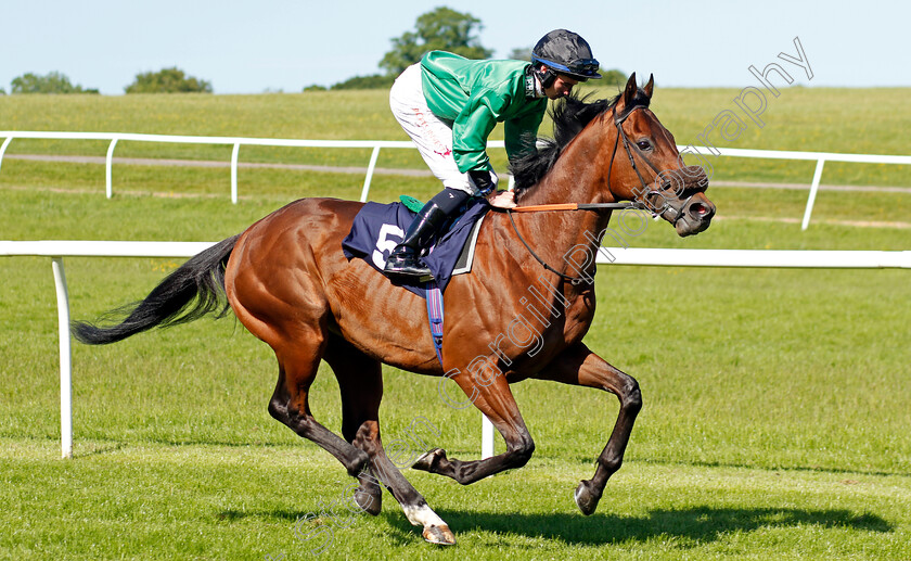 Duelist 
 DUELIST (Rossa Ryan)
Chepstow 27 May 2022 - Pic Steven Cargill / Racingfotos.com