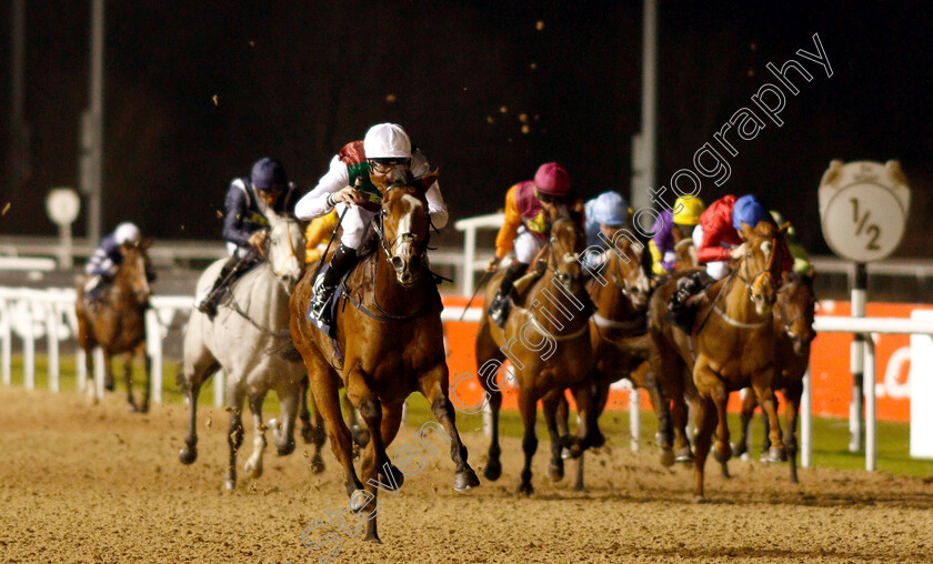 She s-Got-You-0003 
 SHE'S GOT YOU (Robert Havlin) wins The Ladbrokes Home Of The Odds Boost Fillies Novice Stakes Div1
Wolverhampton 10 Dec 2018 - Pic Steven Cargill / Racingfotos.com