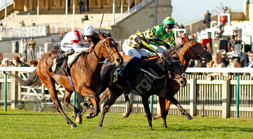 Malakahna-0004 
 MALAKAHNA (centre, Callum Hutchinson) beats NOVEL LEGEND (left) in The Hamish Kinmond 70th Birthday Handicap
Newmarket 28 Oct 2022 - Pic Steven Cargill / Racingfotos.com