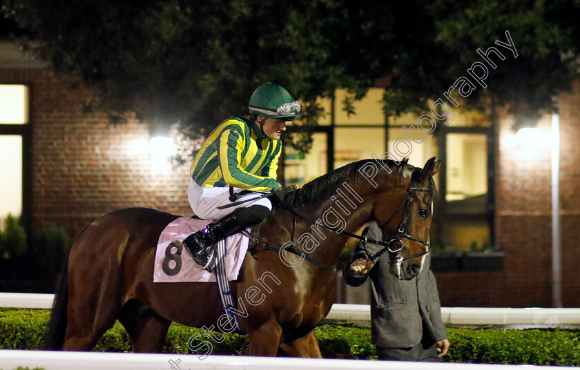 Manxman-0001 
 MANXMAN (Harry Burns)
Kempton 16 Nov 2022 - Pic Steven Cargill / Racingfotos.com