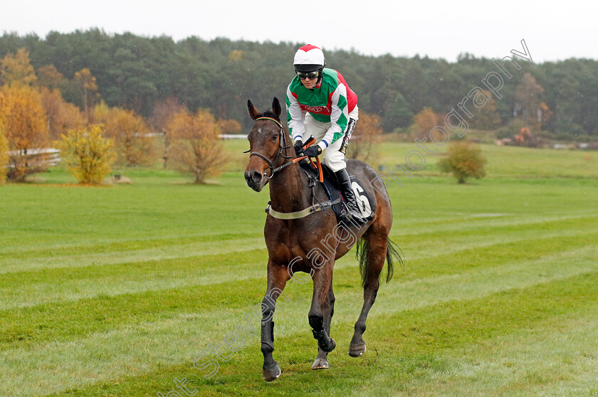 Lunar-Contact-0002 
 LUNAR CONTACT (Tom Cannon)
Market Rasen 17 Nov 2022 - Pic Steven Cargill / Racingfotos.com