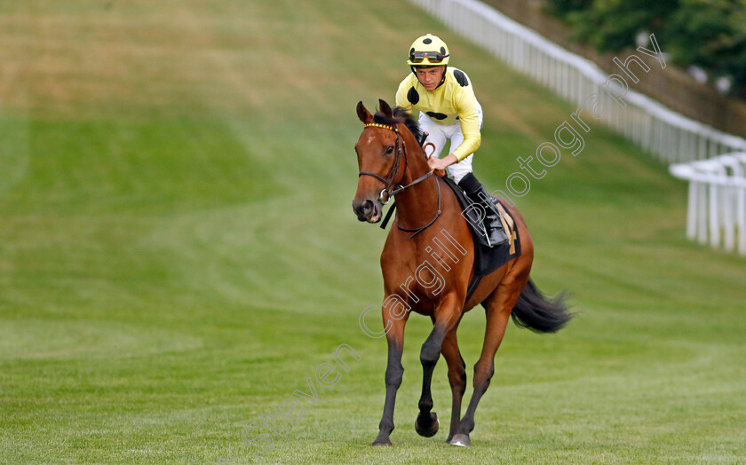 Open-Champion-0001 
 OPEN CHAMPION (Ray Dawson)
Newmarket 22 Jul 2022 - Pic Steven Cargill / Racingfotos.com