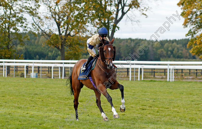 Outbox-0002 
 OUTBOX (Hollie Doyle)
Bro Park 18 Sep 2022 - Pic Steven Cargill / Racingfotos.com