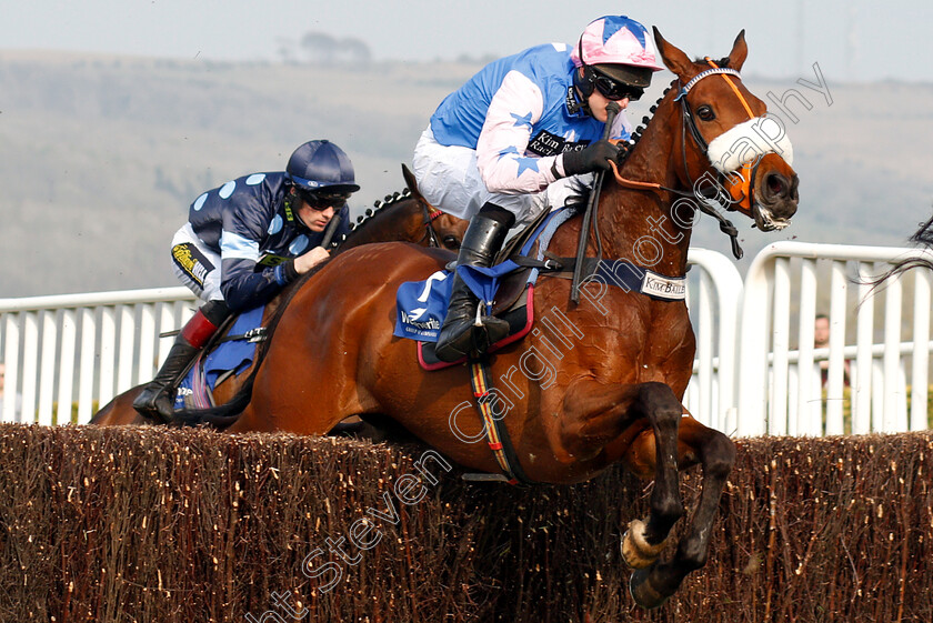 Rocky s-Treasure-0001 
 ROCKY'S TREASURE (David Bass)
Cheltenham 17 Apr 2019 - Pic Steven Cargill / Racingfotos.com