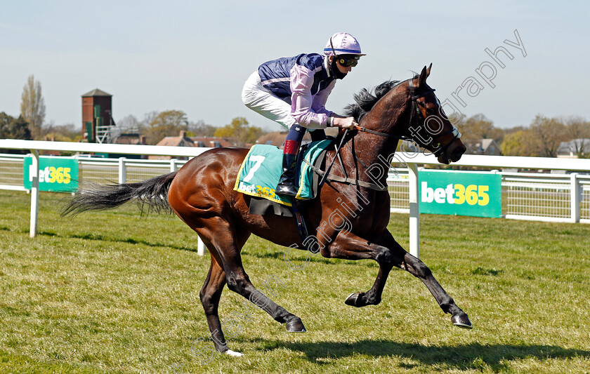 Chateau-d If-0001 
 CHATEAU D'IF (David Egan)
Sandown 23 Apr 2021 - Pic Steven Cargill / Racingfotos.com