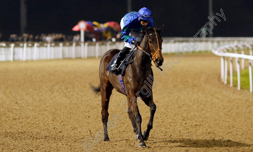 Left-Over-Love-0001 
 LEFT OVER LOVE (Sean Levey)
Wolverhampton 20 Dec 2024 - Pic Steven Cargill / Racingfotos.com