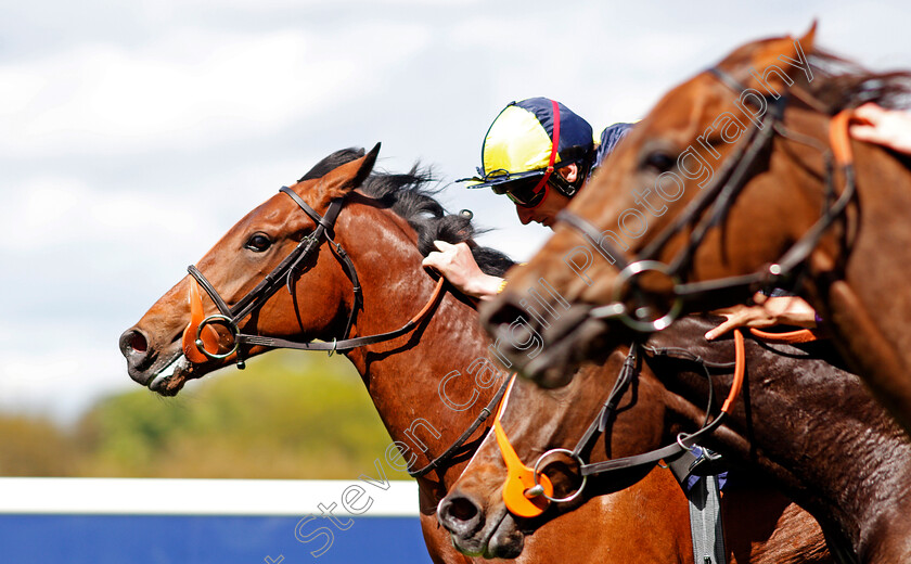 Getchagetchagetcha-0006 
 GETCHAGETCHAGETCHA (Adam Kirby) wins The Sodexo Conditions Stakes Ascot 2 May 2018 - Pic Steven Cargill / Racingfotos.com