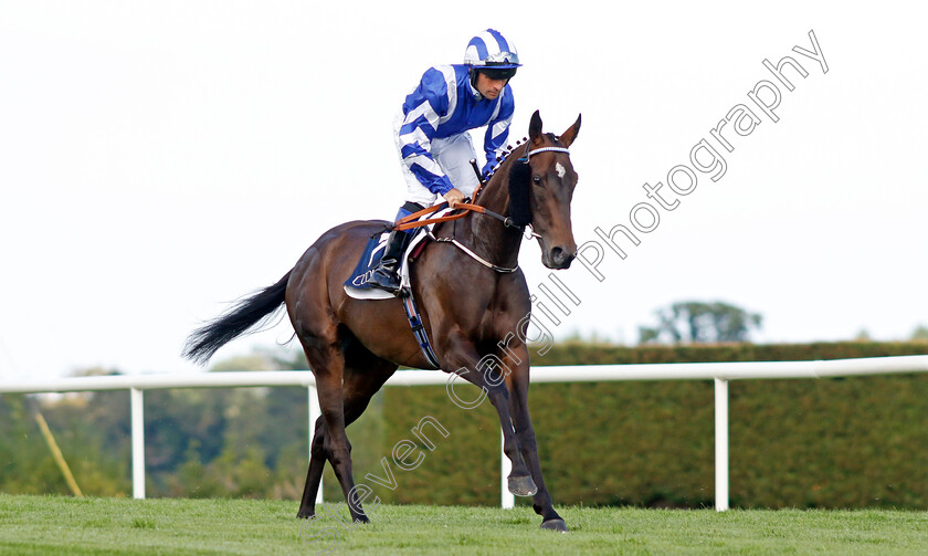 Clever-And-Cool-0001 
 CLEVER AND COOL (Rory Cleary)
Leopardstown 9 Sep 2023 - Pic Steven Cargill / Racingfotos.com