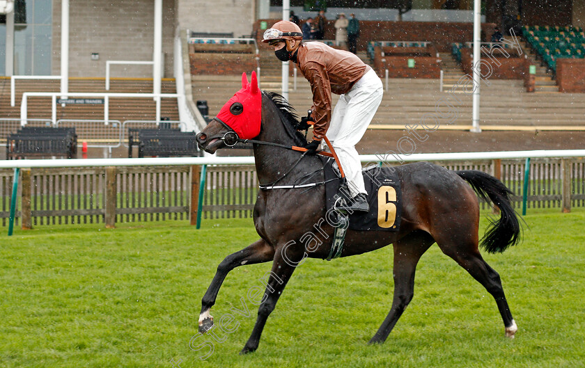 Lochnaver-0001 
 LOCHNAVER (James Doyle)
Newmarket 31 Oct 2020 - Pic Steven Cargill / Racingfotos.com