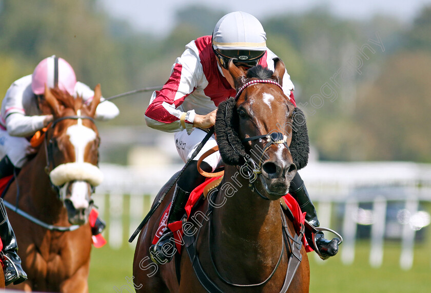 Casall-0001 
 CASALL (Bauyrzhan Murzabayev) 
Baden Baden 31 Aug 2024 - Pic Steven Cargill / Racingfotos.com