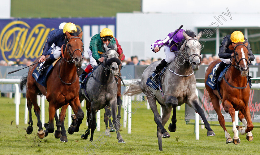 Capri-0005 
 CAPRI (centre, Ryan Moore) beats CRYSTAL OCEAN (left) and STRADIVARIUS (right) in The William Hill St Leger Doncaster 16 Sep 2017 - Pic Steven Cargill / Racingfotos.com