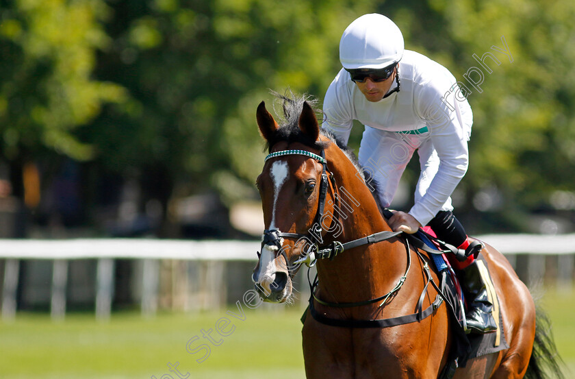 Epictetus-0002 
 EPICTETUS (Martin Harley) winner of The Weatherbys British EBF Maiden Stakes
Newmarket 8 Jul 2022 - Pic Steven Cargill / Racingfotos.com