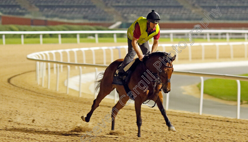 Ouzo-0001 
 OUZO training at the Dubai Racing Carnival
Meydan 1 Mar 2024 - Pic Steven Cargill / Racingfotos.com