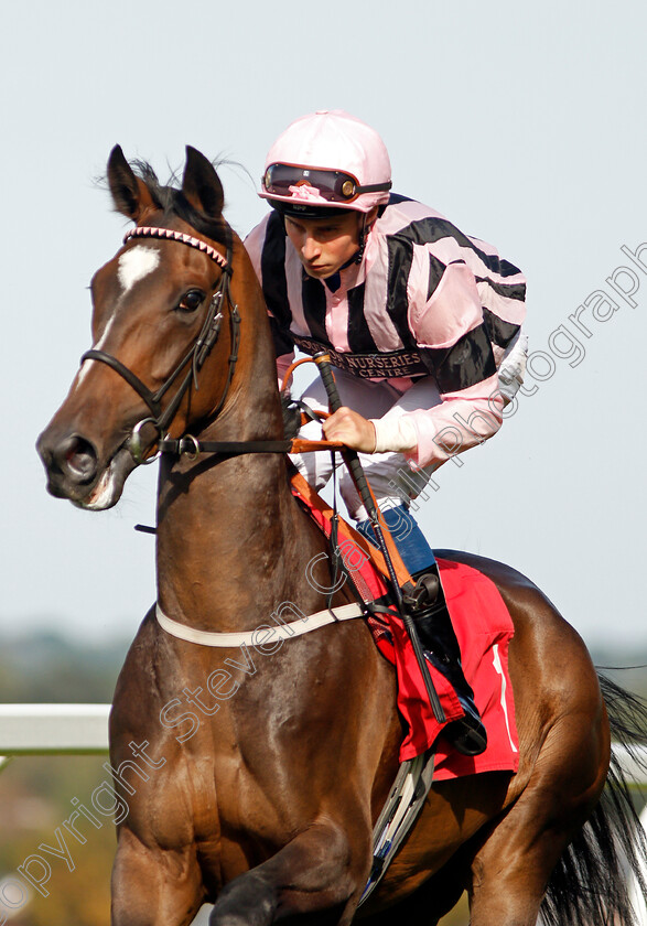 The-Corporal-0002 
 THE CORPORAL (William Buick)
Sandown 30 Aug 2019 - Pic Steven Cargill / Racingfotos.com