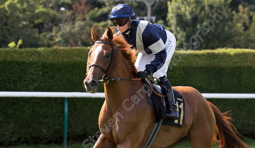 Aljadel-0001 
 ALJADEL (Taryn Langley)
Nottingham 19 Jul 2024 - Pic Steven Cargill / Megan Dent / Racingfotos.com