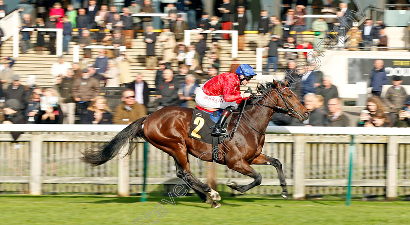 Audience-0004 
 AUDIENCE (Robert Havlin) wins The 888sport British EBF Novice Stakes Div1
Newmarket 29 Oct 2021 - Pic Steven Cargill / Racingfotos.com