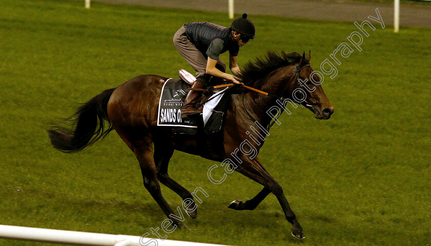 Sands-Of-Mali-0003 
 SANDS OF MALI training for the Al Quoz Sprint
Meydan 27 Mar 2019 - Pic Steven Cargill / Racingfotos.com