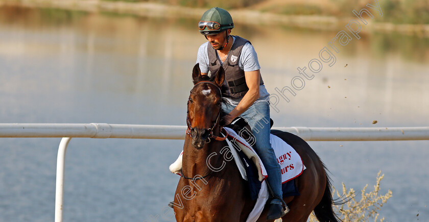 Magny-Cours-0002 
 MAGNY COURS exercising in preparation for Friday's Bahrain International Trophy
Sakhir Racecourse, Bahrain 18 Nov 2021 - Pic Steven Cargill / Racingfotos.com