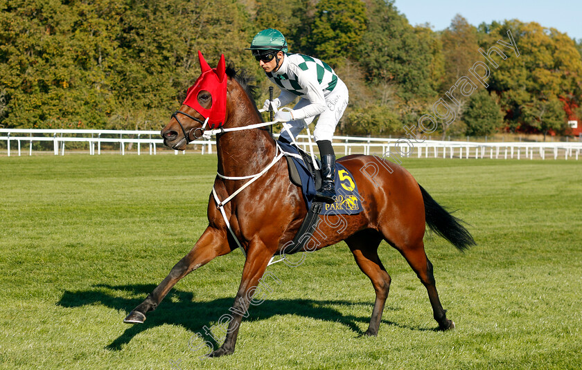 Aphelios-0002 
 APHELIOS (Elione Chaves) winner of The Bro Park Sprint Championship
Bro Park, Sweden , 15 Sep 2024 - Pic Steven Cargill / Racingfotos.com