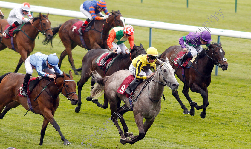 Forever-In-Dreams-0004 
 FOREVER IN DREAMS (centre, Martin Dwyer) beats SOLAR GOLD (left) and HEAVENLY HOLLY (right) The EBF British Stallion Studs Cecil Frail Stakes
Haydock 25 May 2019 - Pic Steven Cargill / Racingfotos.com